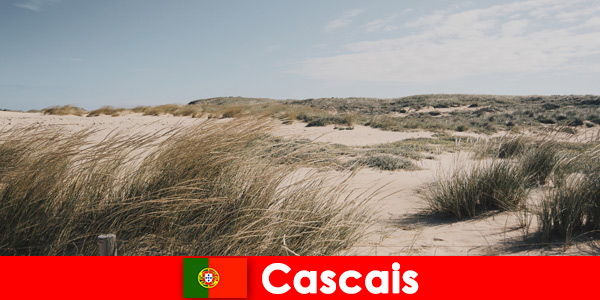 Le vent, le soleil et la mer offrent une tranquillité fantastique à Cascais Portugal