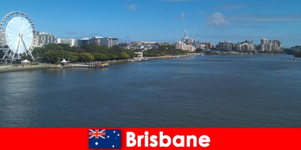 Vivez de belles expériences à Brisbane en Australie en tant qu'étranger