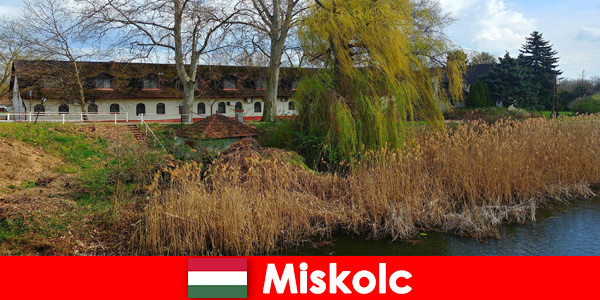 Comparer les prix des hôtels et des hébergements à Miskolc en Hongrie vaut la peine