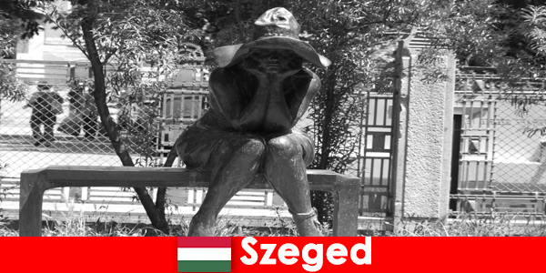 Il y a de nombreuses figures de pierre à admirer à Szeged en Hongrie