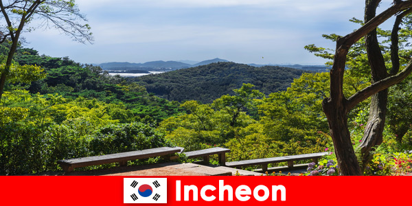 La ville et la nature à Incheon en Corée du Sud s'harmonisent très bien