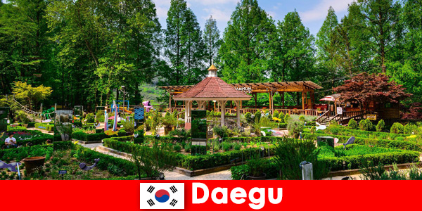 Daegu en Corée du Sud la ville avec la diversité et de nombreux sites