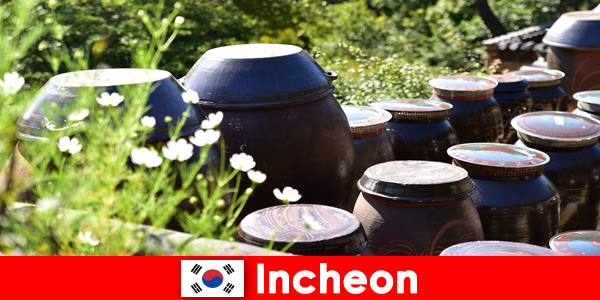 Observez les lacs de montagne et une variété de plantes à Incheon en Corée du Sud