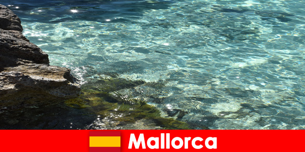 Un lieu de rêve pour tous les visiteurs est Majorque en Espagne