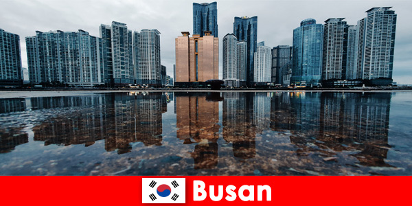 Voyage pas cher et super activités à Busan en Corée
