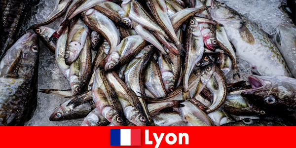 Poissons et fruits de mer frais cuits à la perfection à déguster à Lyon