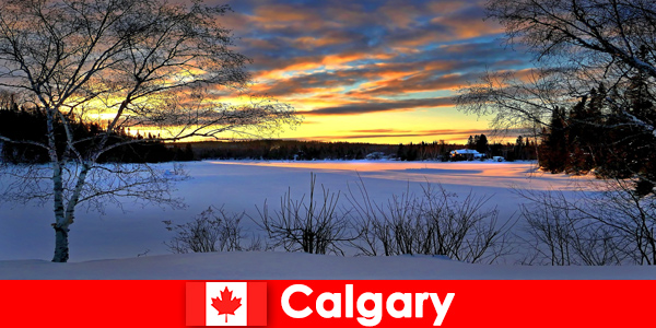 Profitez d'un paysage hivernal avec une atmosphère particulière pour les vacanciers à Calgary